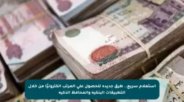 استعلام سريع.. طرق جديدة للحصول على المرتب إلكترونيًا من خلال التطبيقات البنكية والمحافظ الذكية